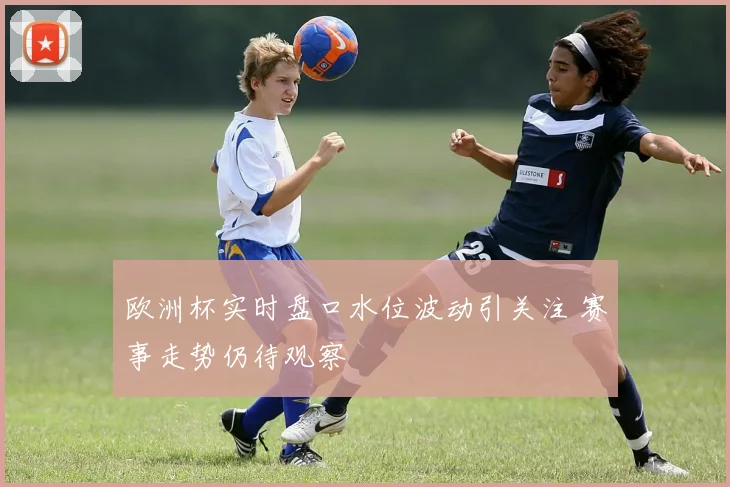 欧洲杯实时盘口水位波动引关注 赛事走势仍待观察